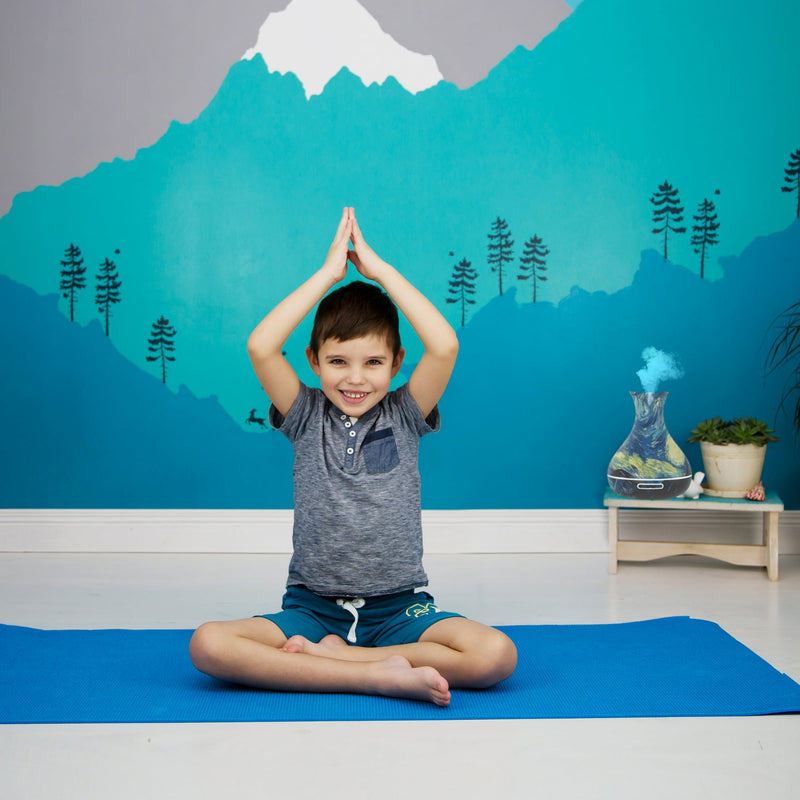 SEEBOO STARRY NIGHT ULTRASONIC AROMATHERAPY DIFFUSER (300 ML) - MULTI - Like New