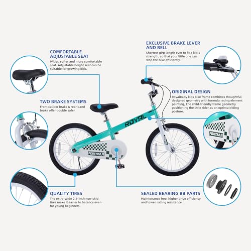 ROYALBABY FORMULA KIDS BIKE BOYS GIRLS 20 WHEEL BICYCLE WITH KICKSTAND TEAL - Like New