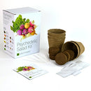PLANT THEATRE PSYCHEDELIC VEGETABLE GARDEN STARTER KIT GROW KIT - Brand New