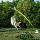 PALULU Automatic Ball Launcher, Small Medium Dog - B09DL99PSQ - Scratch & Dent