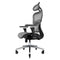 NOUHAUS ERGO3D OFFICE CHAIR LUMBAR SUPPORT MESH 4D ADJUSTABLE - Scratch & Dent