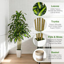LuceAlberi 5FT Faux Dracaena Plant with Planter & Built-in Basket - Green White - Brand New