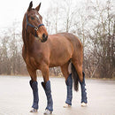HORZE Horse Shipping Boots Set of 4 - Peacoat Dark Blue - Pony - Brand New