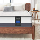 COOLVIE MATTRESS 10 Inch Hybrid Mattress in A Box Built Coils Gel Mattress - Brand New