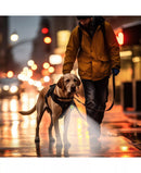 PILOT & SCOUT CLIP-BRITE LED SAFETY LIGHT FOR PETS - Like New