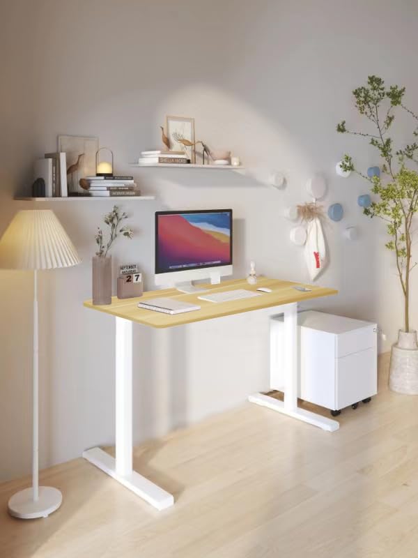 UNCAGED ERGONOMICS RISE UP ESSENTIAL ELECTRIC STANDING DESK ADJUSTABLE - WHITE - Like New