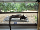 Kitty Cot Original World's Best Cat Perch Large B00C5TUVXU Color Black - Like New