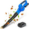 WISETOOL 20V Cordless Leaf Blower Battery and Charger QS-DCLB20B - BLACK/BLUE Like New