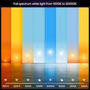 Philips Hue Smart LED A19 Bulb 4-Pack, White Color Ambiance, E26 Base, 7.2W - Like New