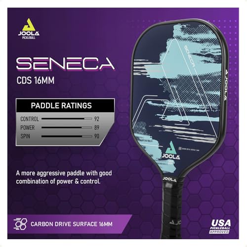 JOOLA PICKLEBALL PADDLE JOURNEY & SENECA – SELECT FIBERGLASS/CARBON FIBER - Like New