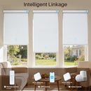 JaeJaes Motorized Roller Shades Remote Cordless Automatic Window Shades White - Brand New