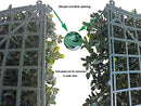 ODTORY Artificial Boxwood Panel Roll 40X160 Greenery Backdrop B0FK5276Z2 - Brand New