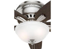 Hunter Fan Newsome Low Profile with Light 42 Inch 51082