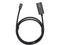 Rocstor Premium Mini DisplayPort to HDMI Cable M/M Y10C195B2
