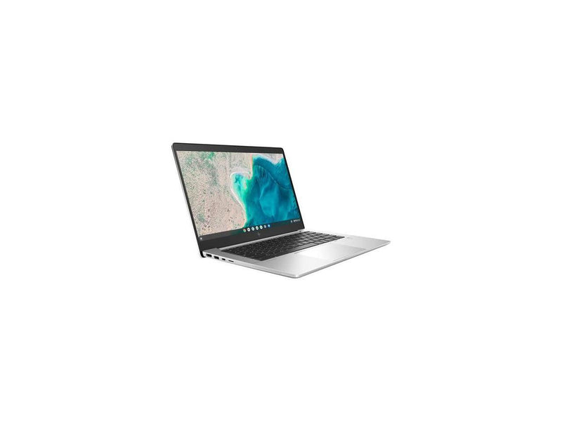 HP Elite c640 G3 14" Chromebook Enterprise Intel Celeron Penta-core (5 Core)