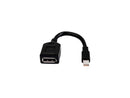 HP 2MY05AA Displayport Cable - Mini Displayport (M) To Displayport (M) - For