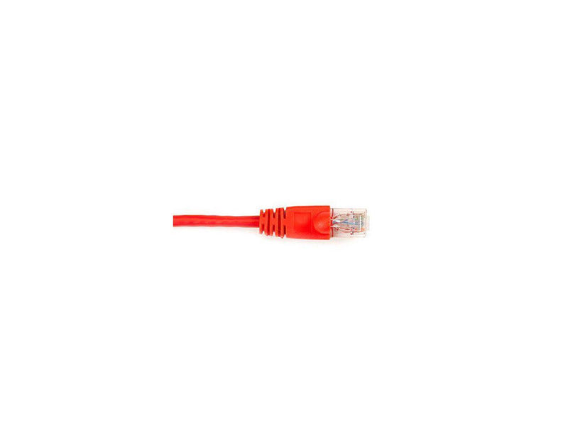 BLACK BOX CAT6PC-003-RD CAT6 250-MHZ STRANDED ETHERNET PATCH CABLE - UNSHIELDED