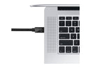 SIIG CB-DP1K12-S1 Displayport Cable - Displayport (M) To Mini Displayport (M) -