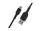 Belkin CAB001bt2MBK 6.56 ft. Black Boost Charge USB-C to USB Cable, USB Type-C