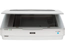 Epson Expression 13000XL Large Format Flatbed/Film Scanner - 2400 dpi Optical -