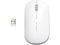 KENSINGTON COMPUTER K75353WW SURETRACKDUAL WIRELESS MOUSE - WHITE