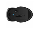 HP 250 Dual Mouse - Full-size Mouse - Optical - Wireless - Bluetooth/Radio