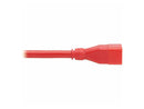 Eaton Tripp Lite series Power Extension Cord, C20 to C19 - Heavy-Duty, 20A,