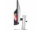 HP 734pm 34" Class Webcam UW-QHD Curved Screen LED Monitor - 21:9 - 34" Viewable