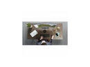 HP EliteBook 8 G1a 14" Touchscreen Copilot+ PC Notebook - AMD Ryzen AI 7 350 -