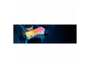 Kingston FURY Renegade RAM Module - 24 GB - RGB - DDR5-8800/PC-70400 DDR5 SDRAM