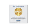Epson UltraChrome PRO 770 Ink Cartridge Light Gray T770920