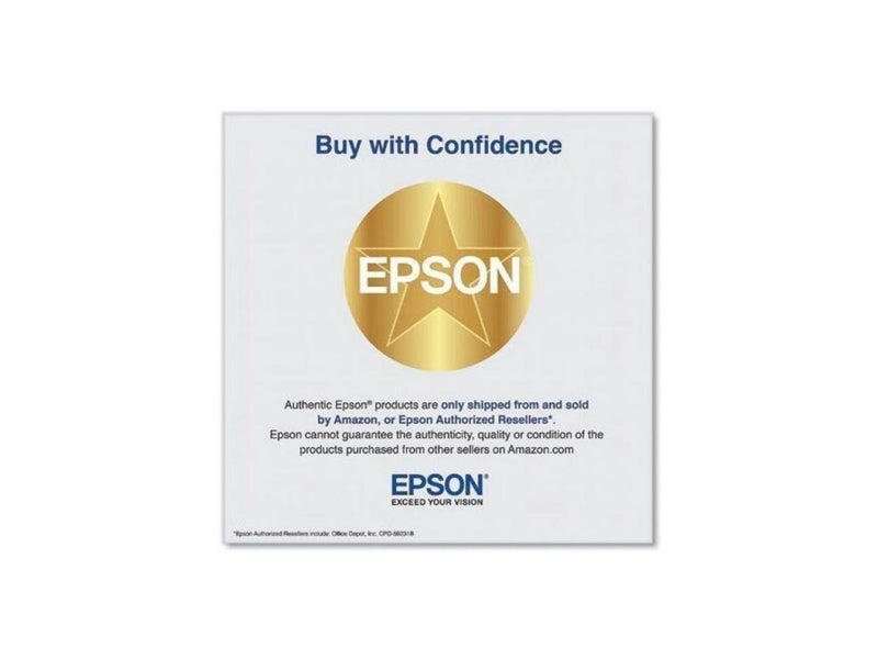 Epson UltraChrome PRO 770 Ink Cartridge Light Gray T770920