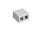 Black Box Value Line Surface-Mount Housing 2-Port White