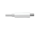 TRIPP LITE U444-06N-H4K6WC USB 3.1 GEN 1 USB-C TO HDMI 4K ADAPTER (M/F),