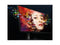 BenQ PD3220U 32" (31.5" Viewable) UHD 3840 x 2160 (4K) 60 Hz HDMI, DisplayPort,
