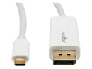 Rocstor 6ft / 2m USB Type C to DisplayPort Cable - USB C to DP Cable - 4K 60Hz