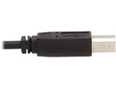 Tripp Lite P783-010-U KVM Cable