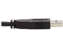 Tripp Lite P783-010-U KVM Cable