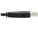 Tripp Lite KVM Cable