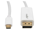 Rocstor Y10C241-W1 10ft / 3m USB Type C to DisplayPort Cable - USB C to DP Cable