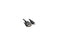V7 V7E2HDMIDVID-02M-2N HDMI DVI Cable (M/M) HDMI/DVI-D Dual Link Black 2m -