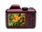 Kodak AZ401RD PIXPRO Digital Camera with 16 Megapixels and 40x Optical Zoom