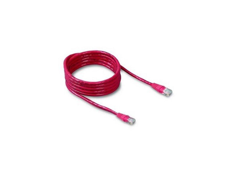 Belkin Cat. 6 Patch Cable