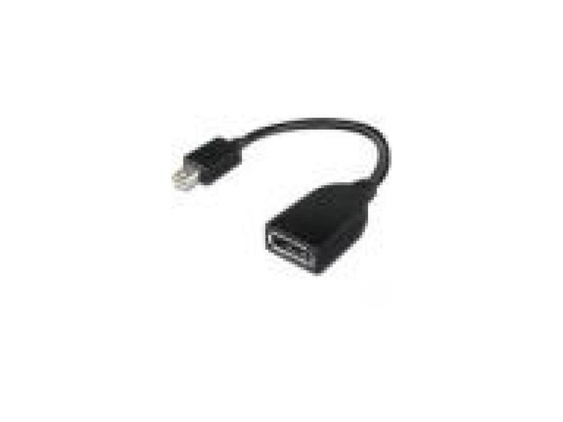 Lenovo DisplayPort Adapter 4X90L13971 DisplayPort Adapter
