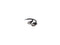 Belkin F2N025B06 5.91 ft. Pro Series VGA Monitor Extension Cable