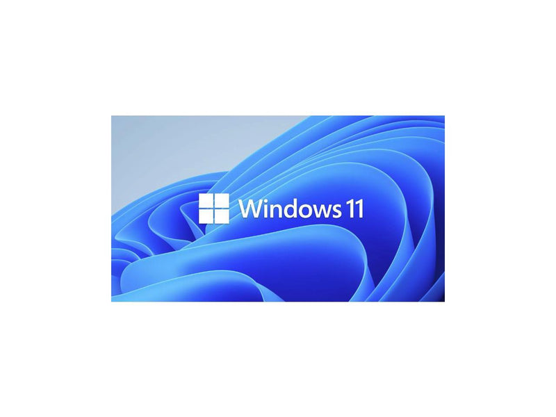 Microsoft HZV-00102 Windows 11 Pro for Workstation OEM