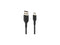 Belkin CAB001bt3MBK 9.8ft Black Boost Charge USB-C to USB Cable, USB Type-C