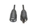 Tripp Lite Model P046-015-LL 15 ft. Heavy-Duty Power Extension Cord, 20A, 12AWG