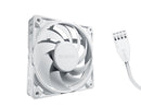 be quiet! SILENT WINGS PRO 4 -120mm PWM White