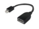 Lenovo DisplayPort Adapter 4X90L13971 DisplayPort Adapter